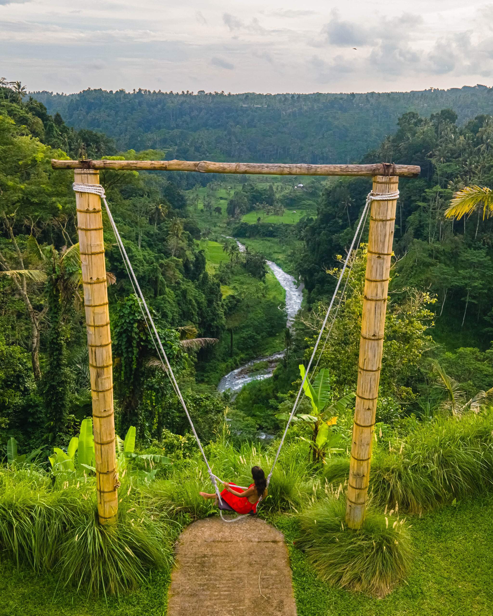 La selva en Sideman