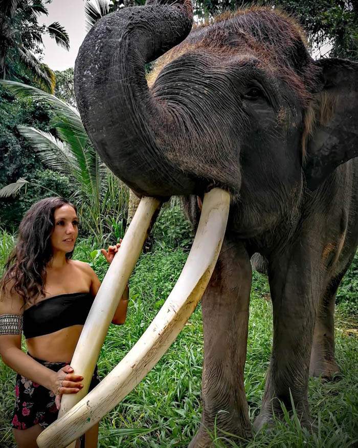 Sesion de fotos con Elefante en Bali