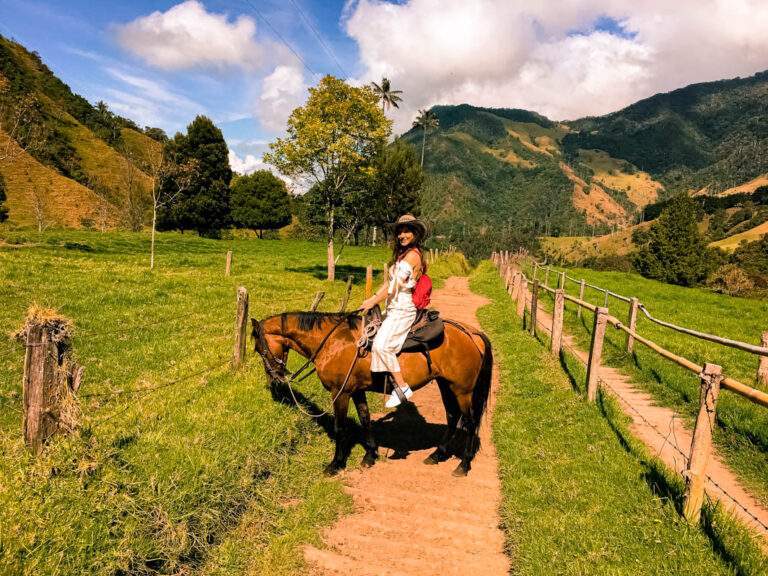 Disfrutando las vistas en caballo