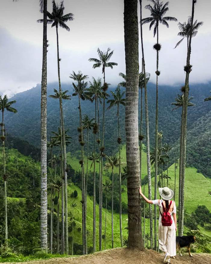 El valle de Cocora