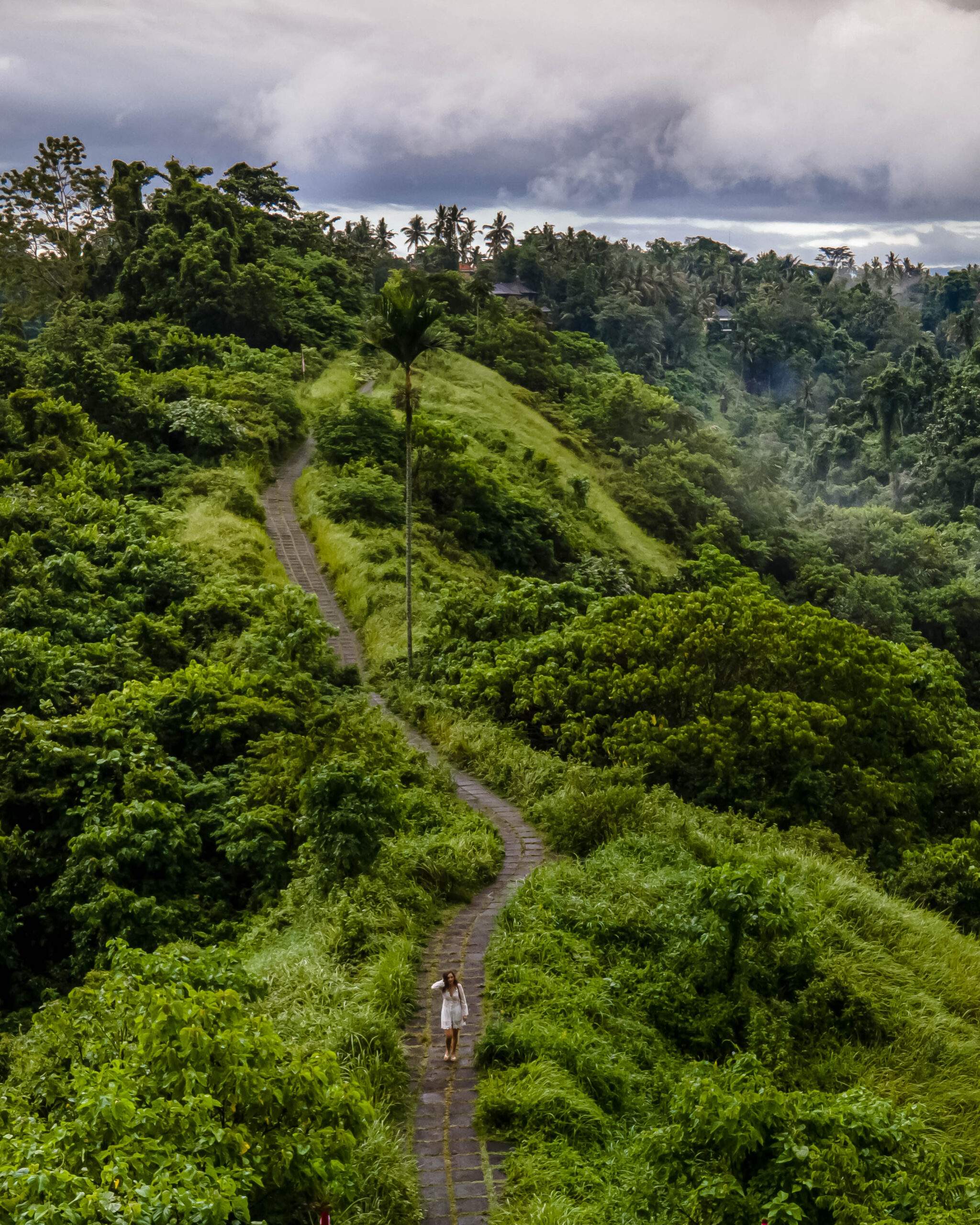 La increible selva de Bali