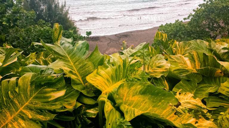 Playas volcanicas en Hawaii