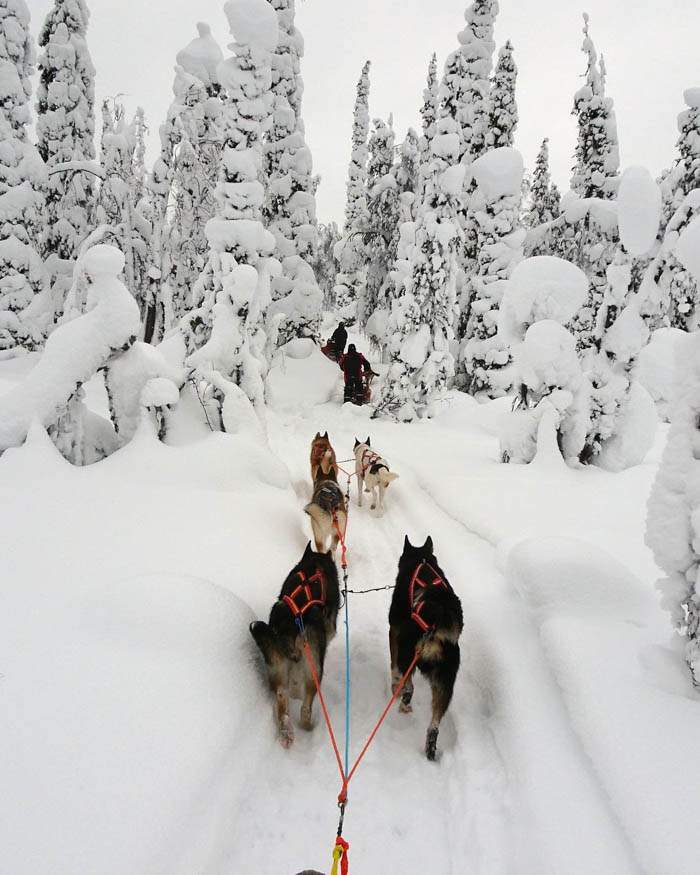 Los inviernos en Finlandia