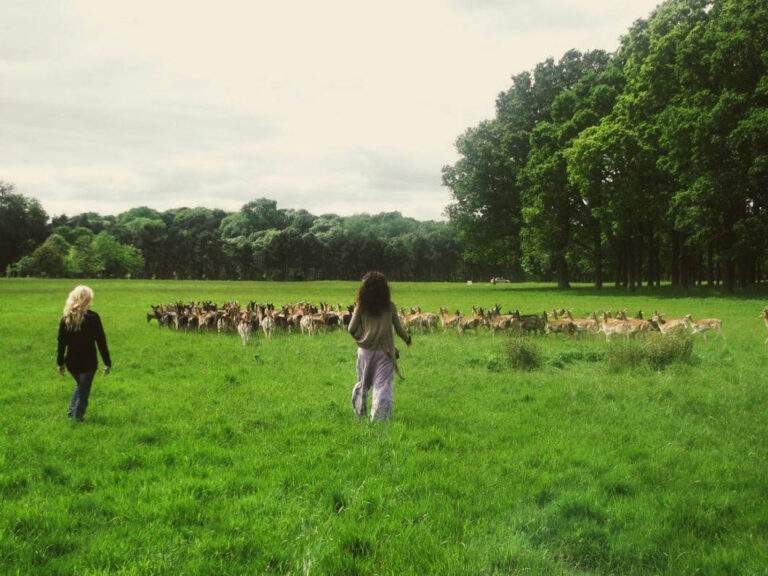 Phoenix Park in Dublin