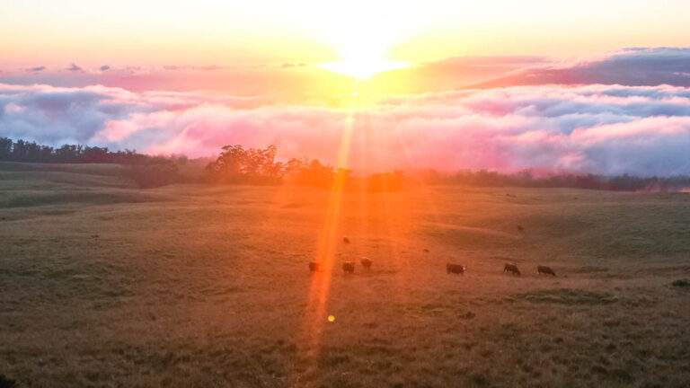 Mi primer atardecer en Hawaii