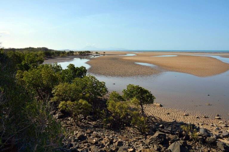 Cape Tribulacion