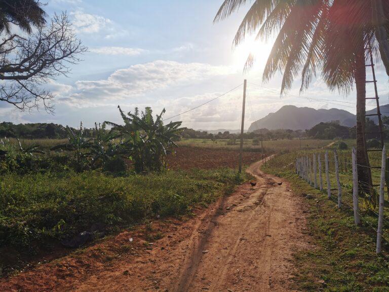 La naturaleza en Cubana