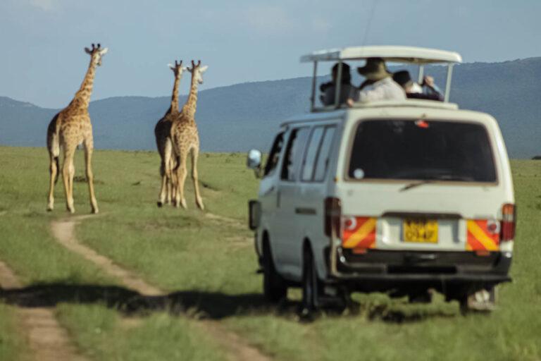 Safari en Masai Mara