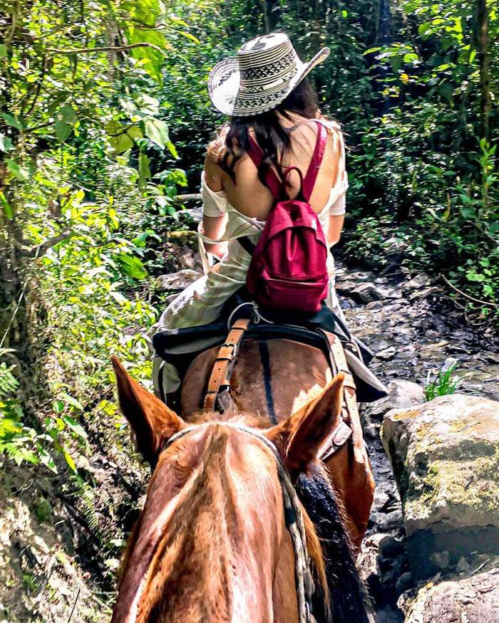 Tour por el Parque Nacional de Viniares