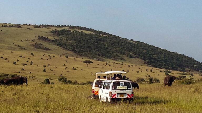 Masai Mara, la gran aventura